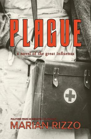 Plague: a novel of the great influenza