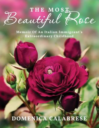 The Most Beautiful Rose: Memoir Of An Italian Immigrant's Extraordinary Childhood