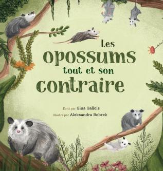 Les opossums: tout et son contraire