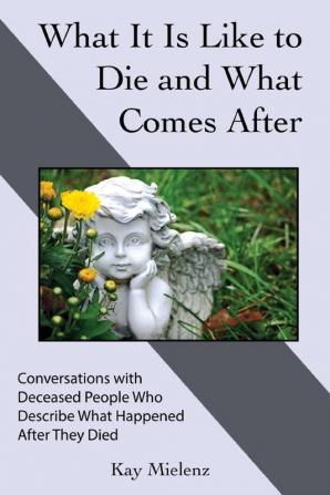 What It Is Like to Die and What Comes After: Conversations with Deceased People Who Describe What Happened After They Died