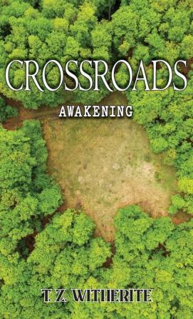 Crossroads: Awakening