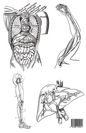 Anatomy and Physiology Coloring Book