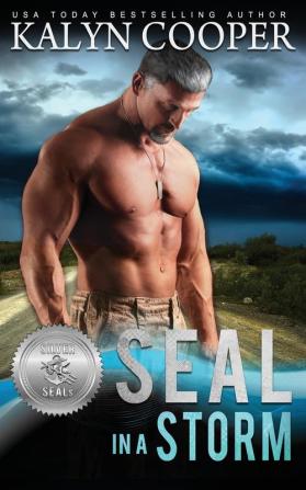 SEAL in a Storm: 5 (Silver Seals)