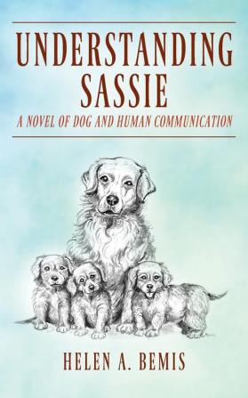 Understanding Sassie