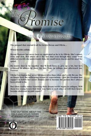 The Promise: An Opposites Attract Romance: 0 (Veils and Vows)