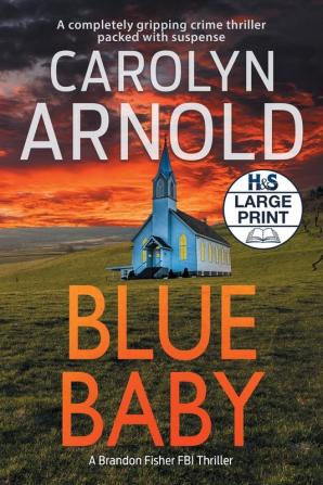 Blue Baby: A completely gripping crime thriller packed with suspense: 4 (Brandon Fisher FBI)