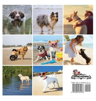 Beach Dogs A No Text Picture Book: A Calming Gift for Alzheimer Patients and Senior Citizens Living With Dementia: 3 (Soothing Picture Books for the Heart and Soul)