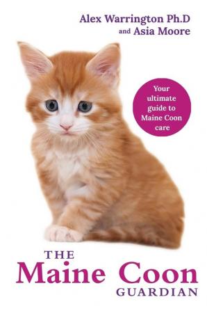 Maine Coon Cat: From bringing your kitten home to comforting your senior age companion