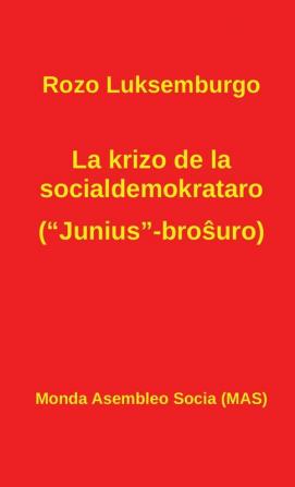 La krizo de la socialdemokrataro (Junius-broŝuro): Kun Lenino: Pri la Junius-broŝuro: 207 (Mas-Libro)