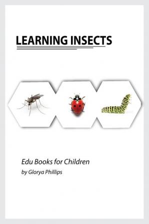 Learning Insects: Montessori real insects book for babies and toddlers bits of intelligence for baby and toddler children's book learning resources. (Edu Books for Children)