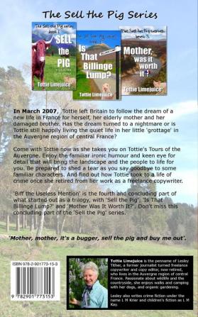 Biff the Useless Mention: Book 4 of the Sell the Pig trilogy