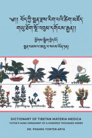 Dictionary of Tibetan Materia Medica (Bod kyi sman rdzas rig pa'i tshig mdzod): Yutok's Mind Ornament of a Hundred Thousand Herbs (G.yu thog sngo 'bum dgongs rgyan)