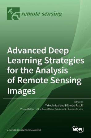 Advanced Deep Learning Strategies for the Analysis of Remote Sensing Images