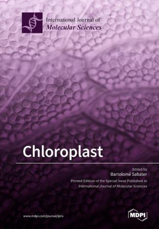 Chloroplast