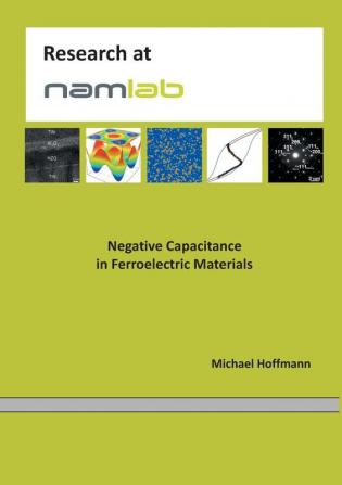 Negative Capacitance in Ferroelectric Materials