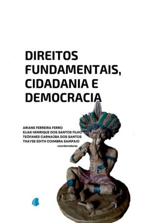 Direitos Fundamentais Cidadania E Democracia