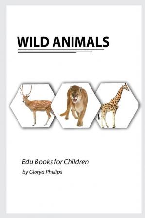 Wild Animals: Montessori real Wild Animals book bits of intelligence for baby and toddler children's book learning resources.