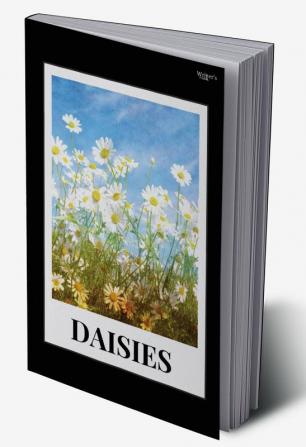 Daisies