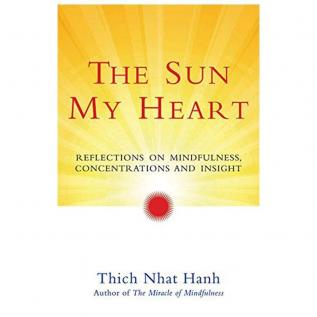 The Sun My Heart Reflections on Mindfulness Concentrations and Insight