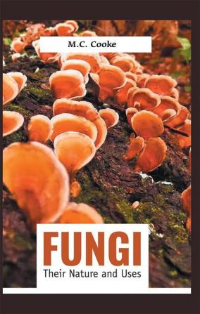 FUNGI