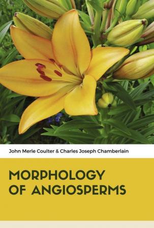 MORPHOLOGY OF ANGIOSPERMS