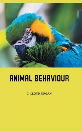 Animal Behaviour