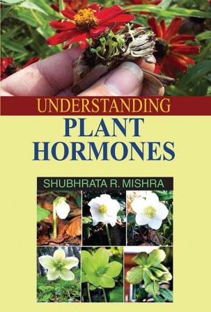 UNDERSTANDING PLANT HORMONES