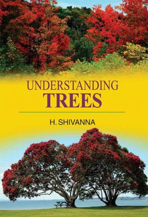 UNDERSTANDING TREES