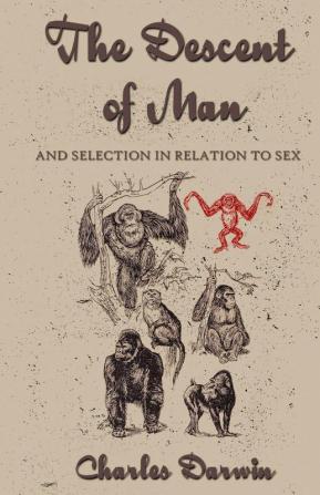 The Descent Of Man