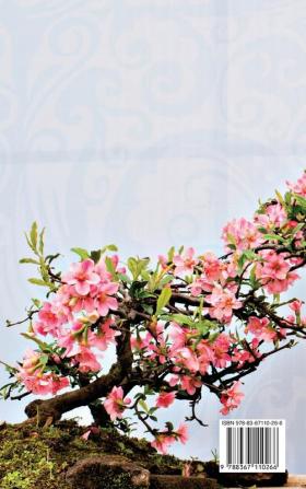 Bonsai for Beginners: An Easy Guide to Caring for Your Bonsai Tree