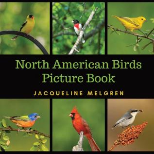 North American Birds Picture Book: Dementia Activities for Seniors (30 Premium Pictures on 70lb Paper With Names)