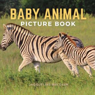 Baby Animal Picture Book