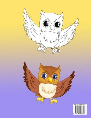 Owl Coloring Book: Activity Book for Kids