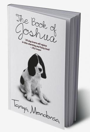 THE BOOK OF JOSHUA