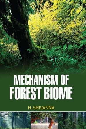 Mechanism of Forest Biome