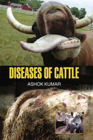 DISEASES OF CATTLE