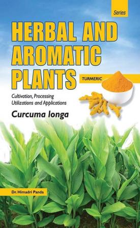 HERBAL AND AROMATIC PLANTS – Curcuma longa (TURMERIC)