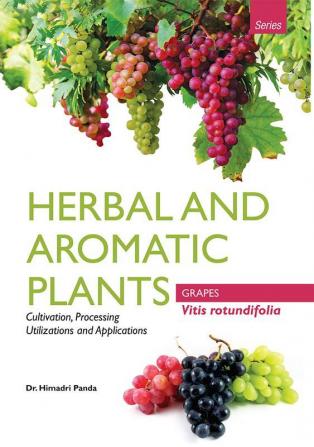 HERBAL AND AROMATIC PLANTS – Vitis rotundifolia (GRAPES)