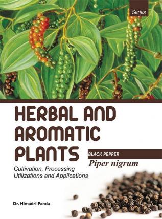 HERBAL AND AROMATIC PLANTS – Piper nigrum (BLACK PEPPER)