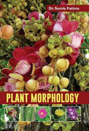 PLANT MORPHOLOGY