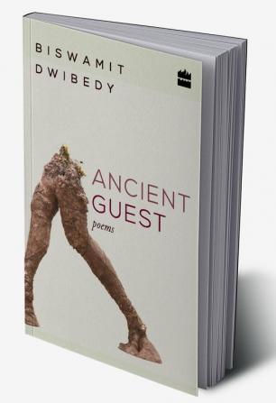 ANCIENT GUEST