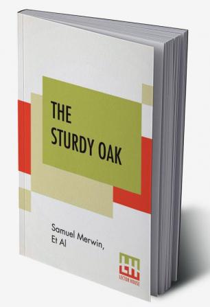 The Sturdy Oak