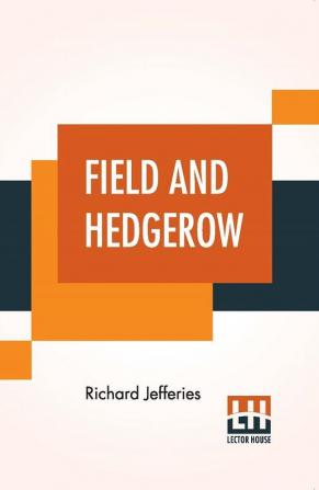 Field And Hedgerow