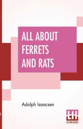 All About Ferrets And Rats