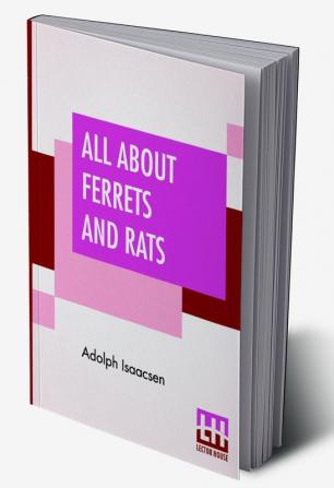 All About Ferrets And Rats