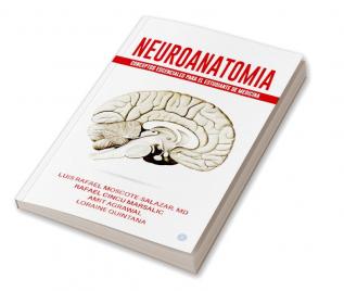 Neuroanatomia