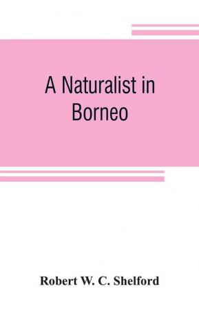 A naturalist in Borneo