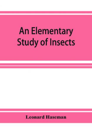 An Elementary Study of Insects