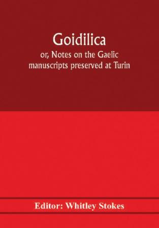 Goidilica; or Notes on the Gaelic manuscripts preserved at Turin Milan Berne Leyden the monastery of S. Paul Carinthia and Cambridge with eight hymns from the Liber hymnorum and the Old-Irish notes in the Book of Armagh