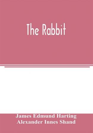 The rabbit